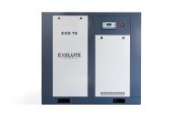 Винтовой компрессор EXELUTE EXV 185/13 ZONCN IP54 в Нижнем Новгороде | DILEKS.RU